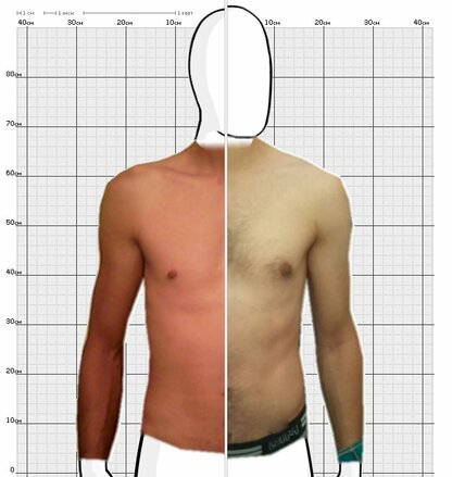 Torso Comparison