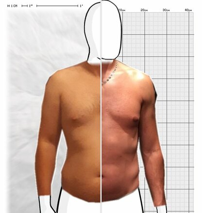 Torso Comparison