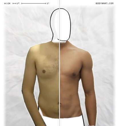 Torso Comparison