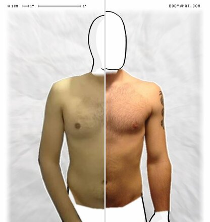 Torso Comparison