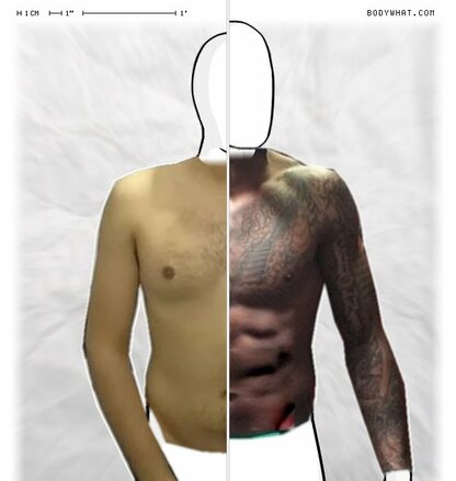 Torso Comparison