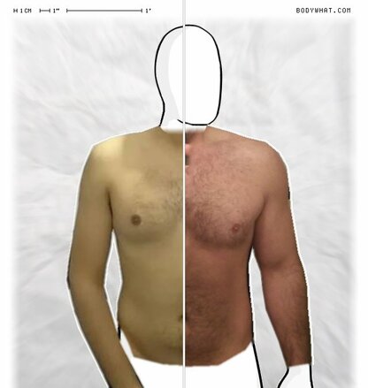 Torso Comparison