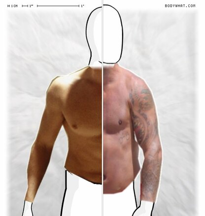 Torso Comparison