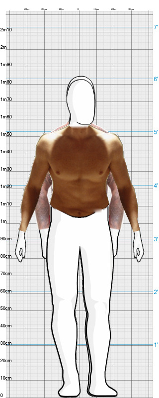 Full Size Comparison