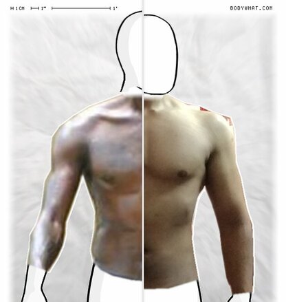 Torso Comparison