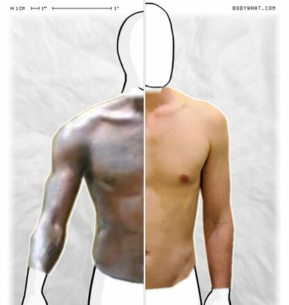 Torso Comparison