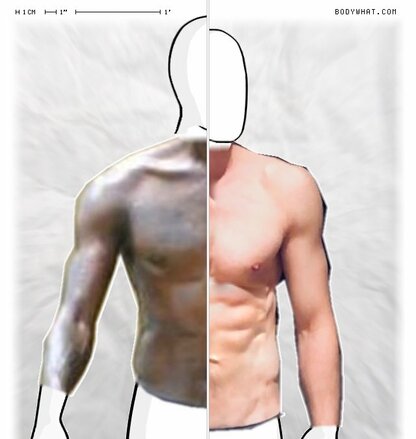 Torso Comparison