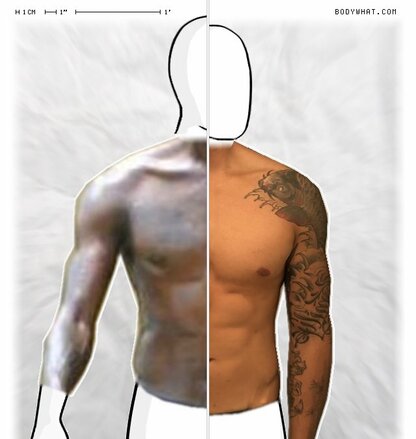 Torso Comparison