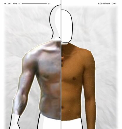 Torso Comparison