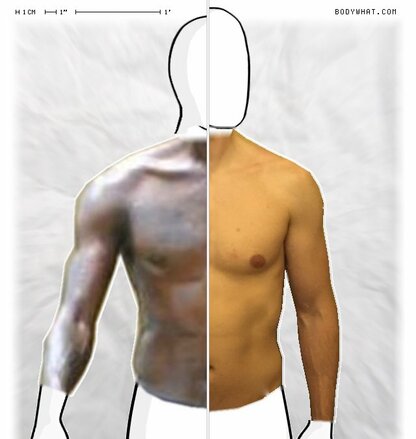 Torso Comparison