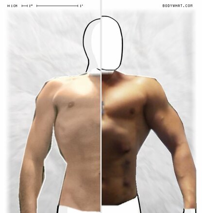 Torso Comparison