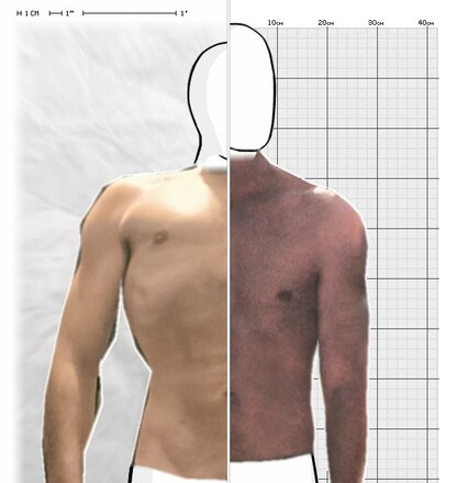 Torso Comparison