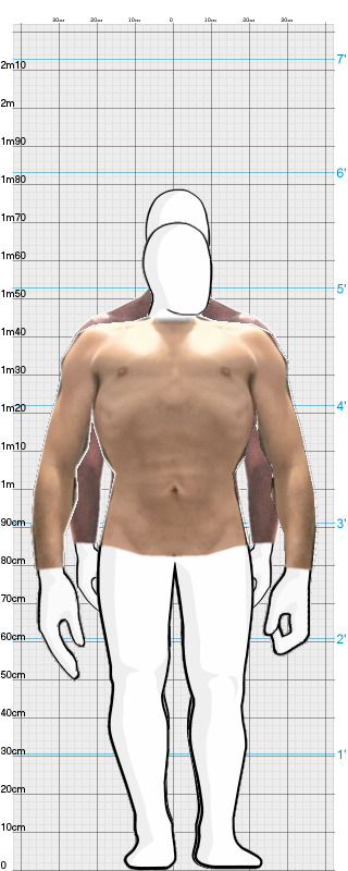 Full Size Comparison