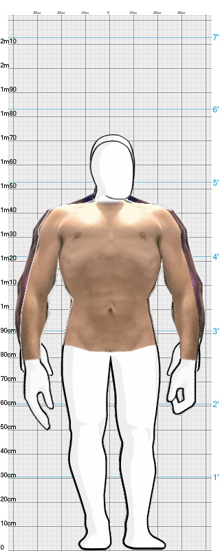 Full Size Comparison