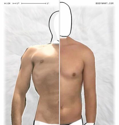 Torso Comparison