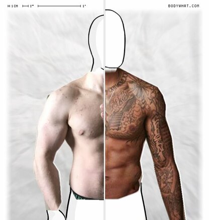 Torso Comparison