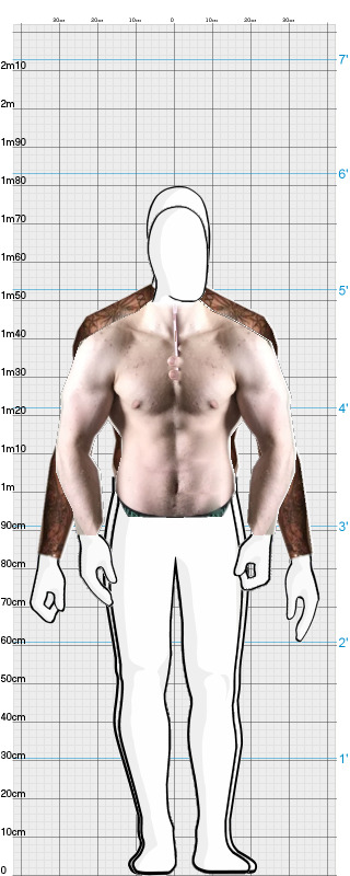 Full Size Comparison