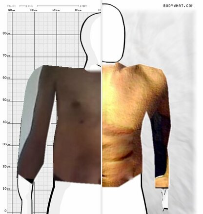 Torso Comparison