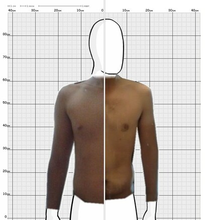 Torso Comparison