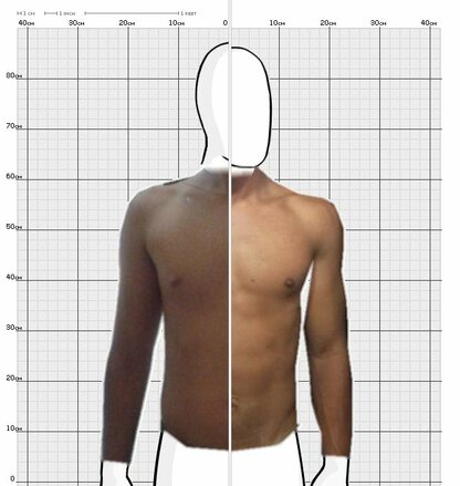 Torso Comparison