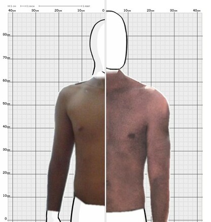 Torso Comparison