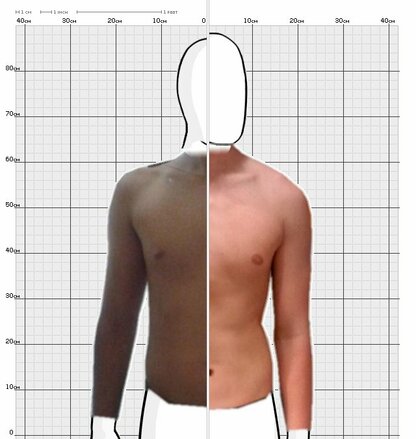 Torso Comparison