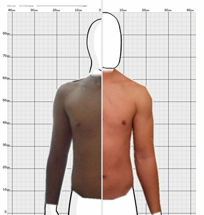 Torso Comparison