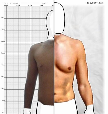 Torso Comparison