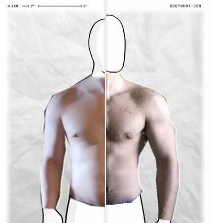 Torso Comparison