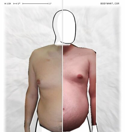 Torso Comparison