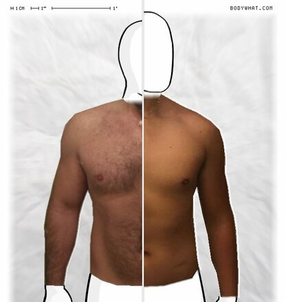 Torso Comparison