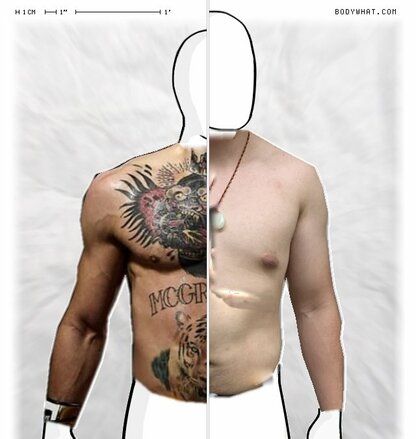 Torso Comparison