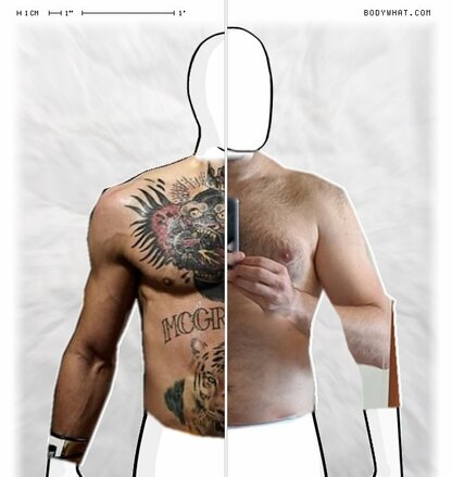 Torso Comparison