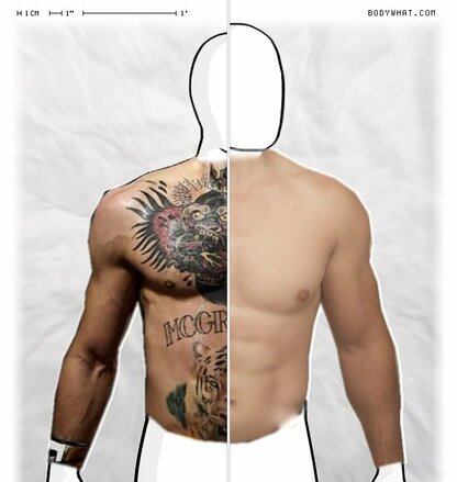 Torso Comparison