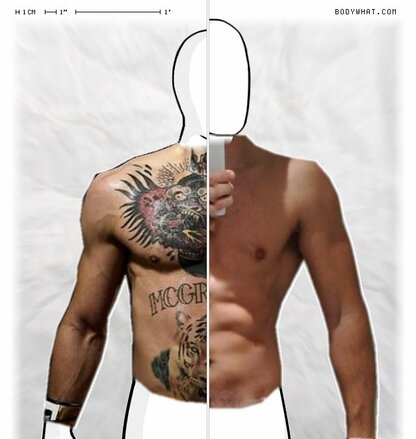 Torso Comparison