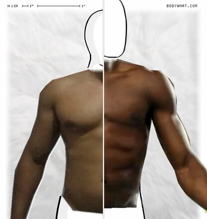 Torso Comparison