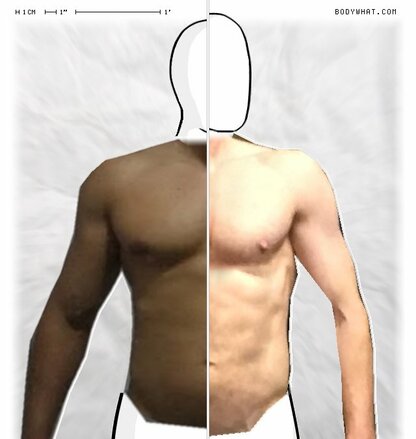 Torso Comparison