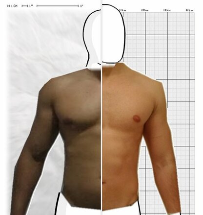 Torso Comparison