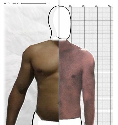 Torso Comparison