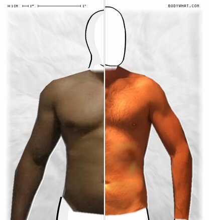 Torso Comparison