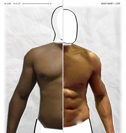 Torso Comparison