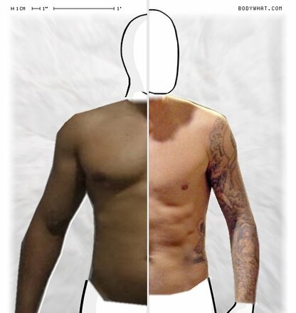 Torso Comparison