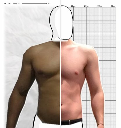 Torso Comparison