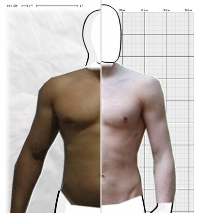 Torso Comparison