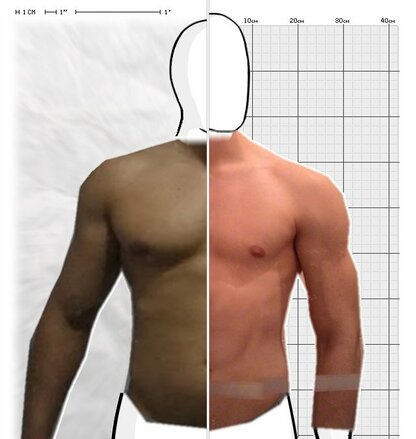 Torso Comparison