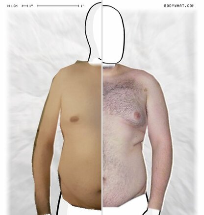 Torso Comparison