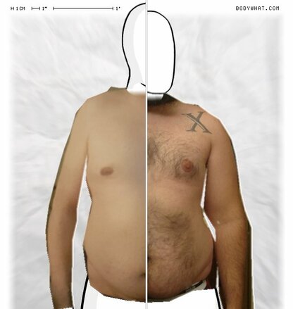 Torso Comparison