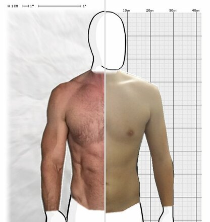 Torso Comparison