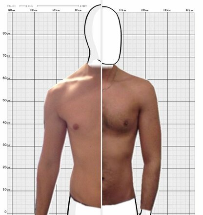 Torso Comparison