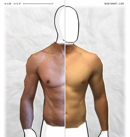 Torso Comparison